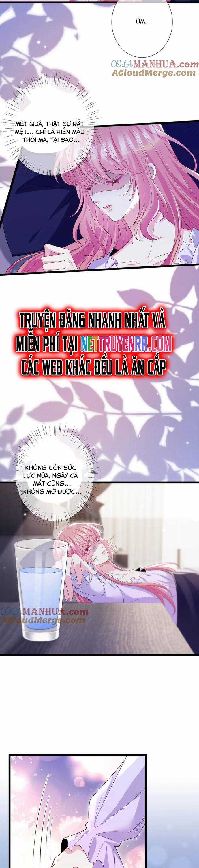 Danh Môn Chí Ái Chapter 501 trang 15