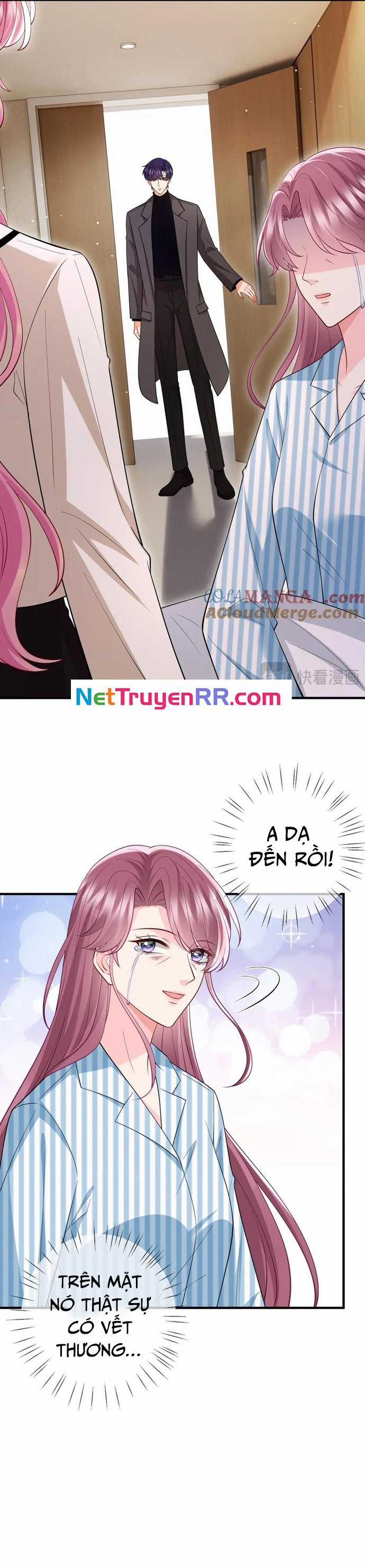 Danh Môn Chí Ái Chapter 503 trang 17