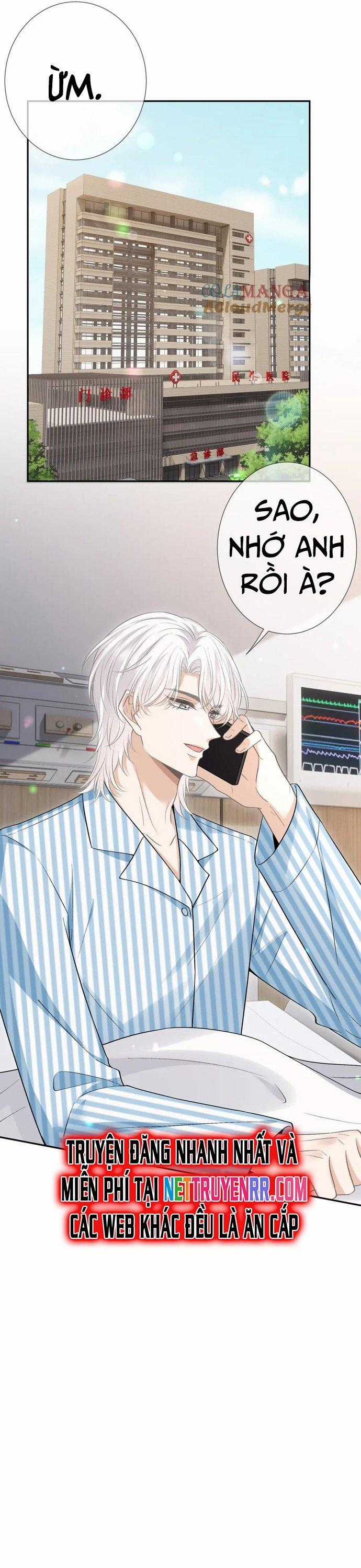 Danh Môn Chí Ái Chapter 504 trang 20