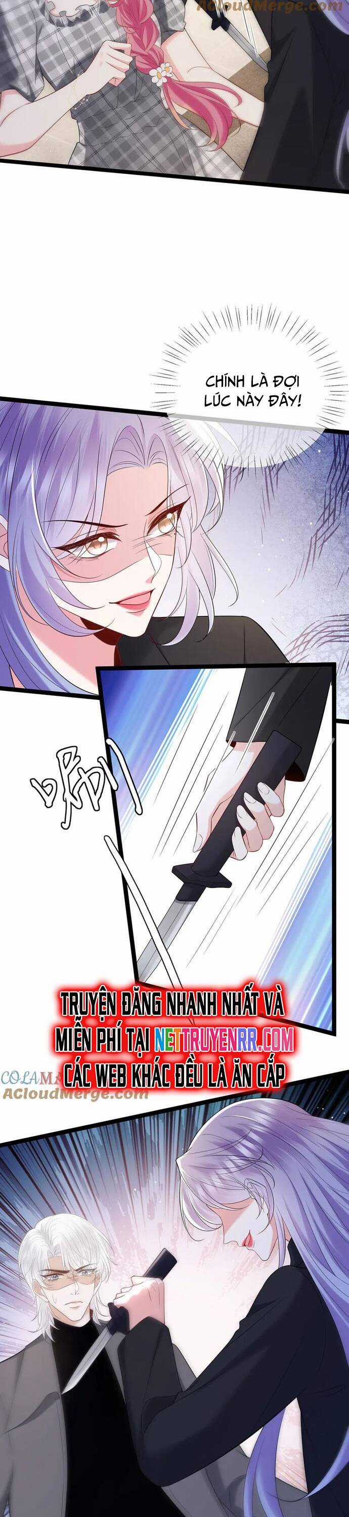 Danh Môn Chí Ái Chapter 509 trang 9
