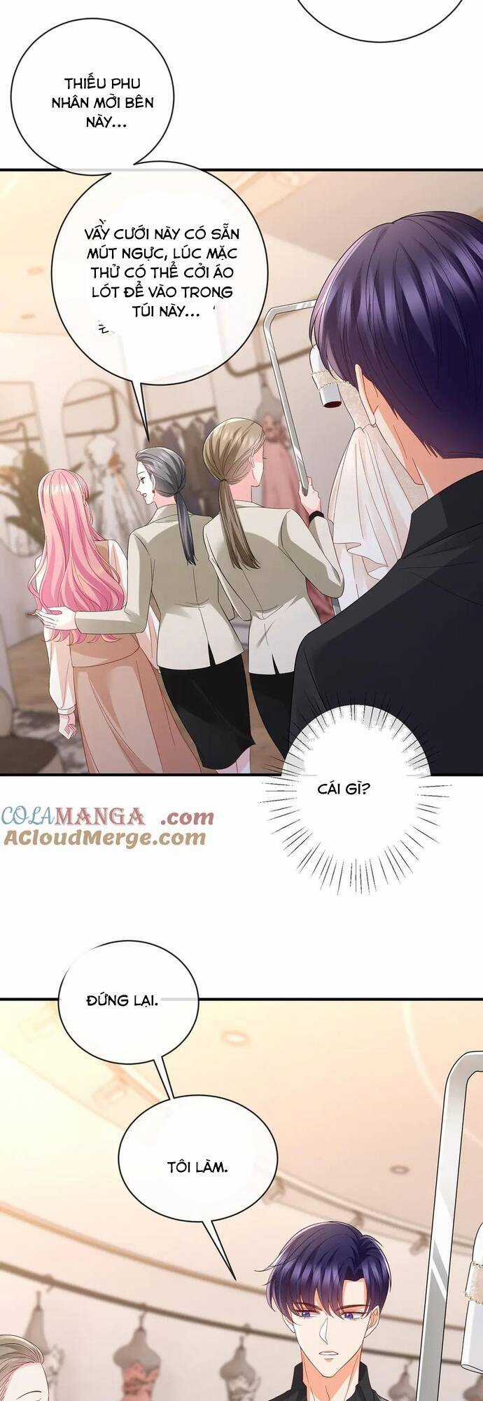 Danh Môn Chí Ái Chapter 515 trang 4