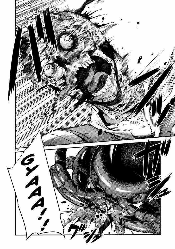 Đảo Côn Trùng Chapter 18 trang 12