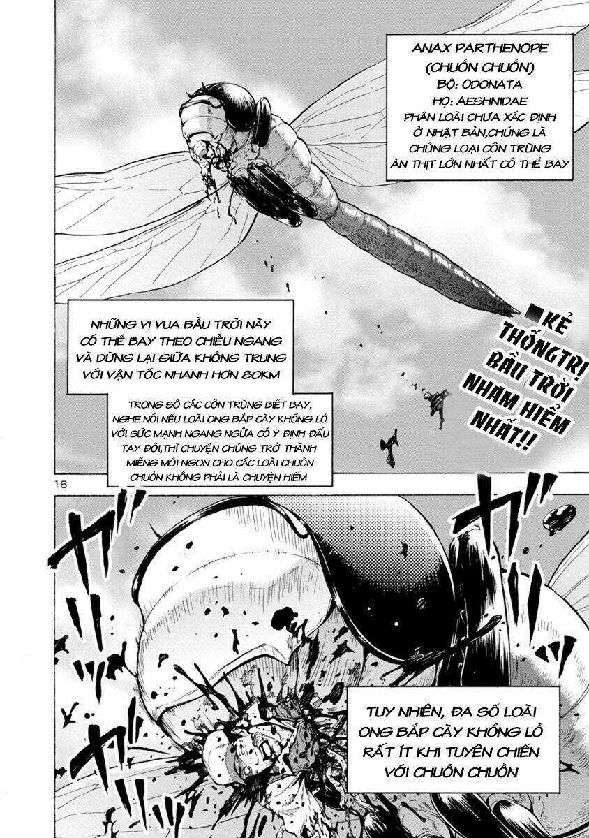 Đảo Côn Trùng Chapter 22.5 trang 16