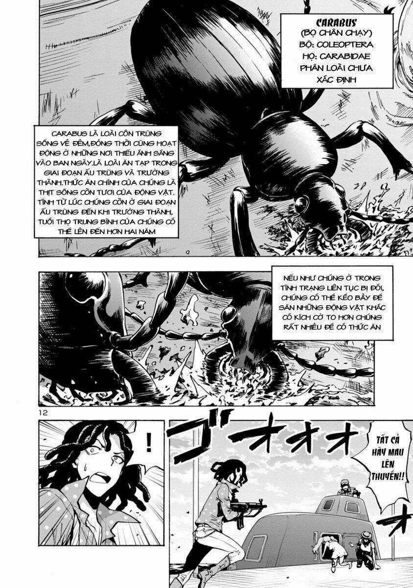 Đảo Côn Trùng Chapter 22 trang 12
