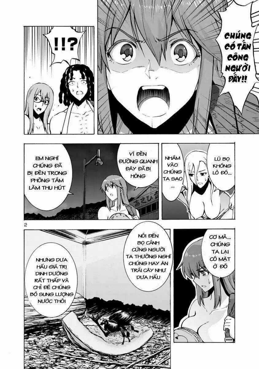 Đảo Côn Trùng Chapter 26.5 trang 2