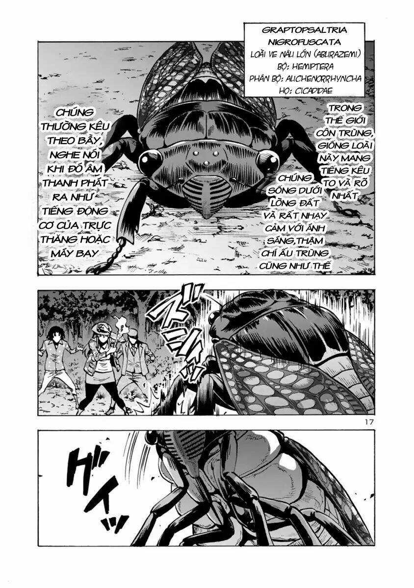 Đảo Côn Trùng Chapter 31.5 trang 17