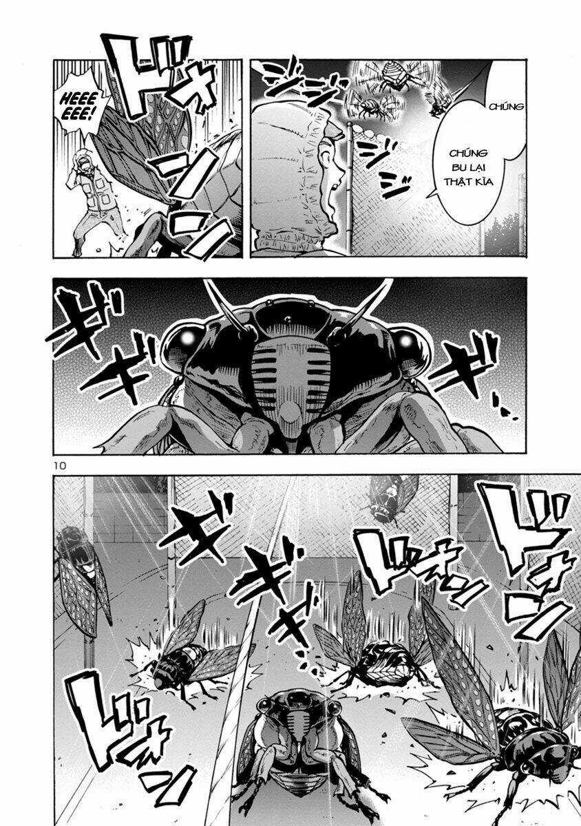 Đảo Côn Trùng Chapter 33 trang 28