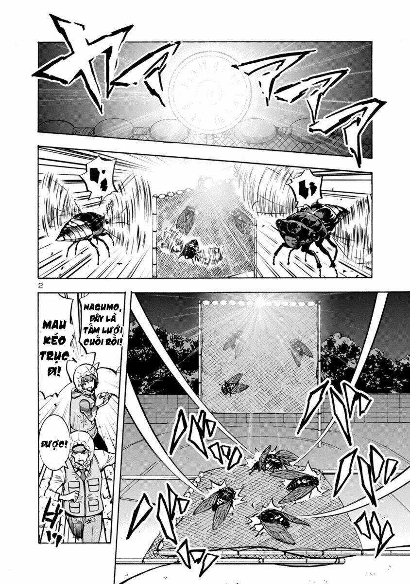 Đảo Côn Trùng Chapter 33 trang 38