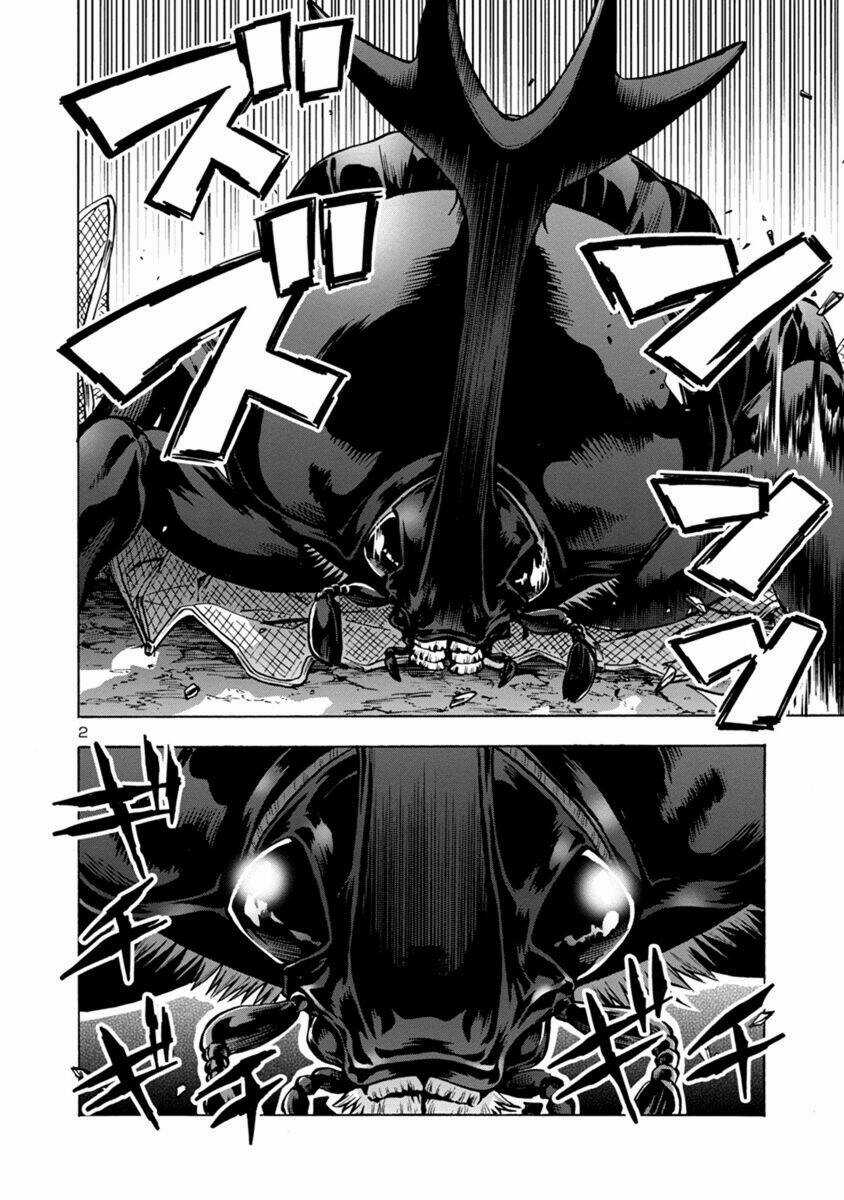 Đảo Côn Trùng Chapter 33 trang 56