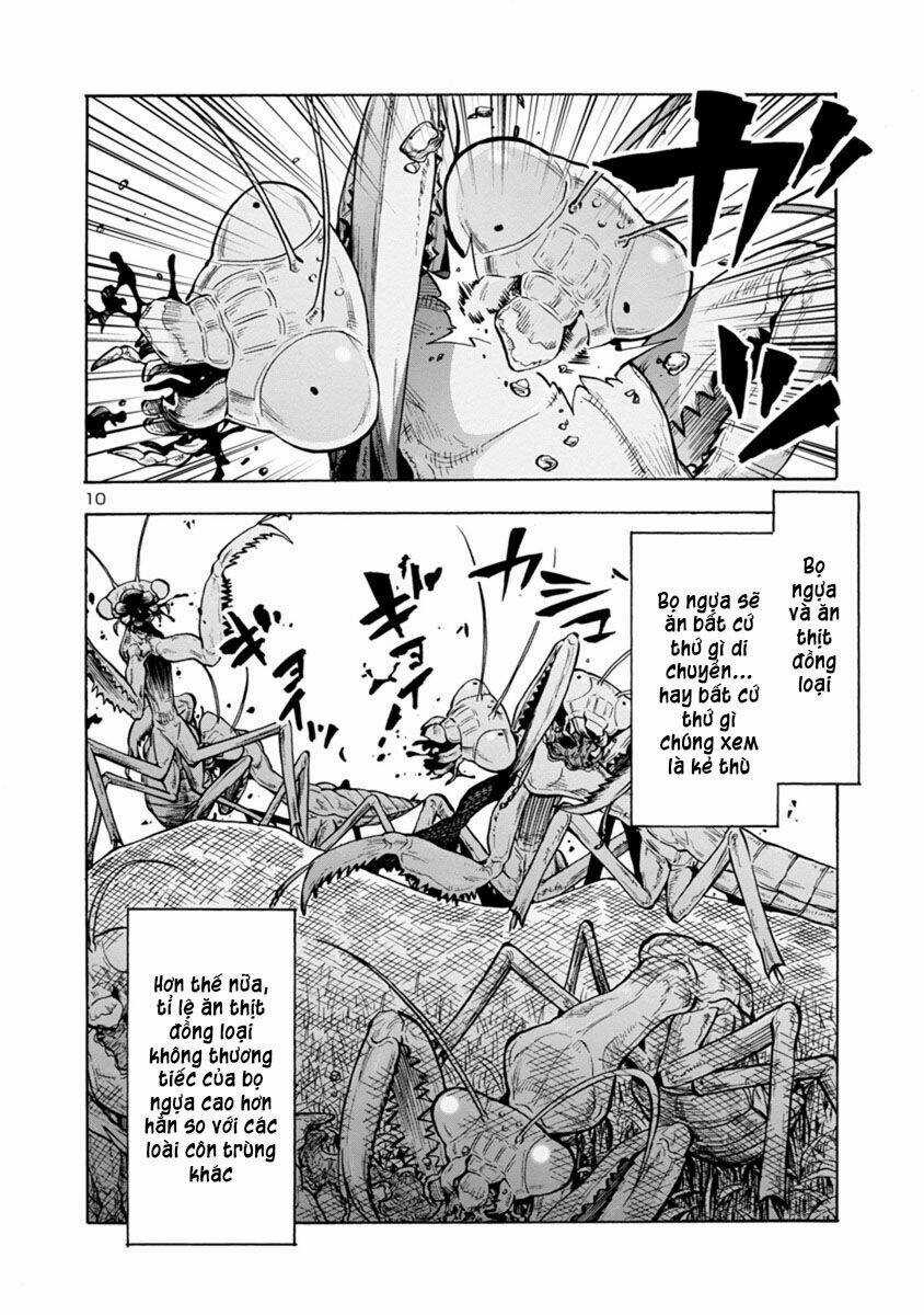 Đảo Côn Trùng Chapter 38.5 trang 10