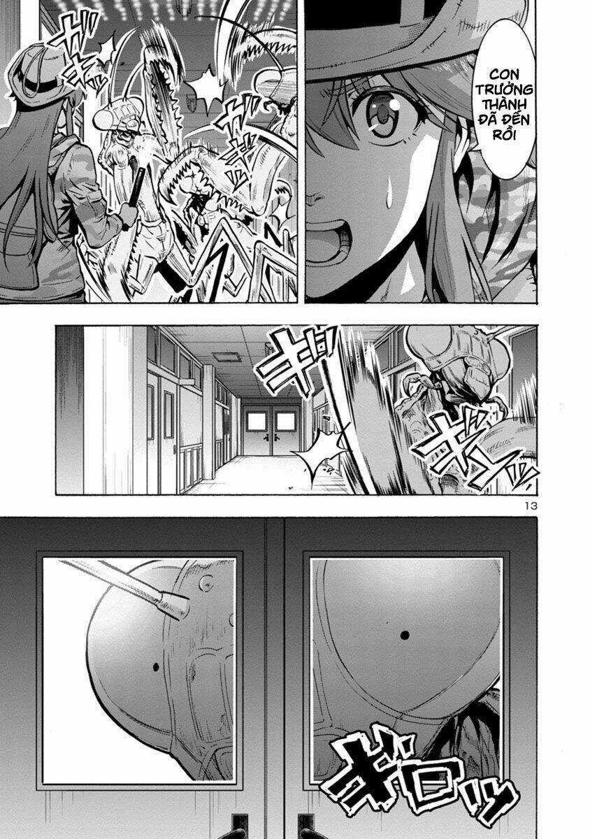 Đảo Côn Trùng Chapter 38.5 trang 116