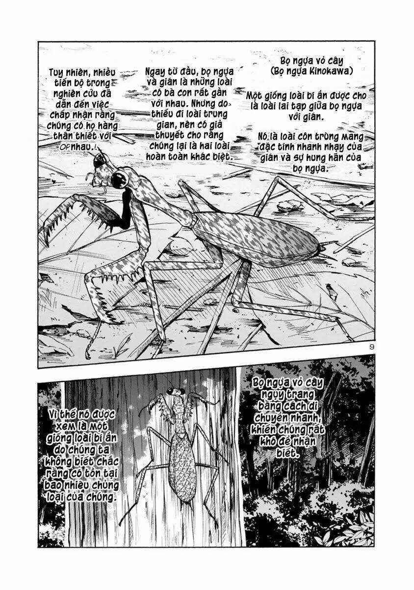 Đảo Côn Trùng Chapter 38.5 trang 28