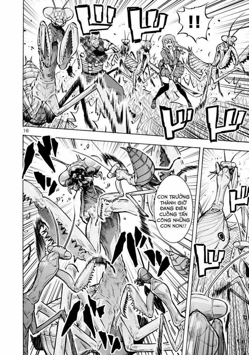 Đảo Côn Trùng Chapter 38.5 trang 35