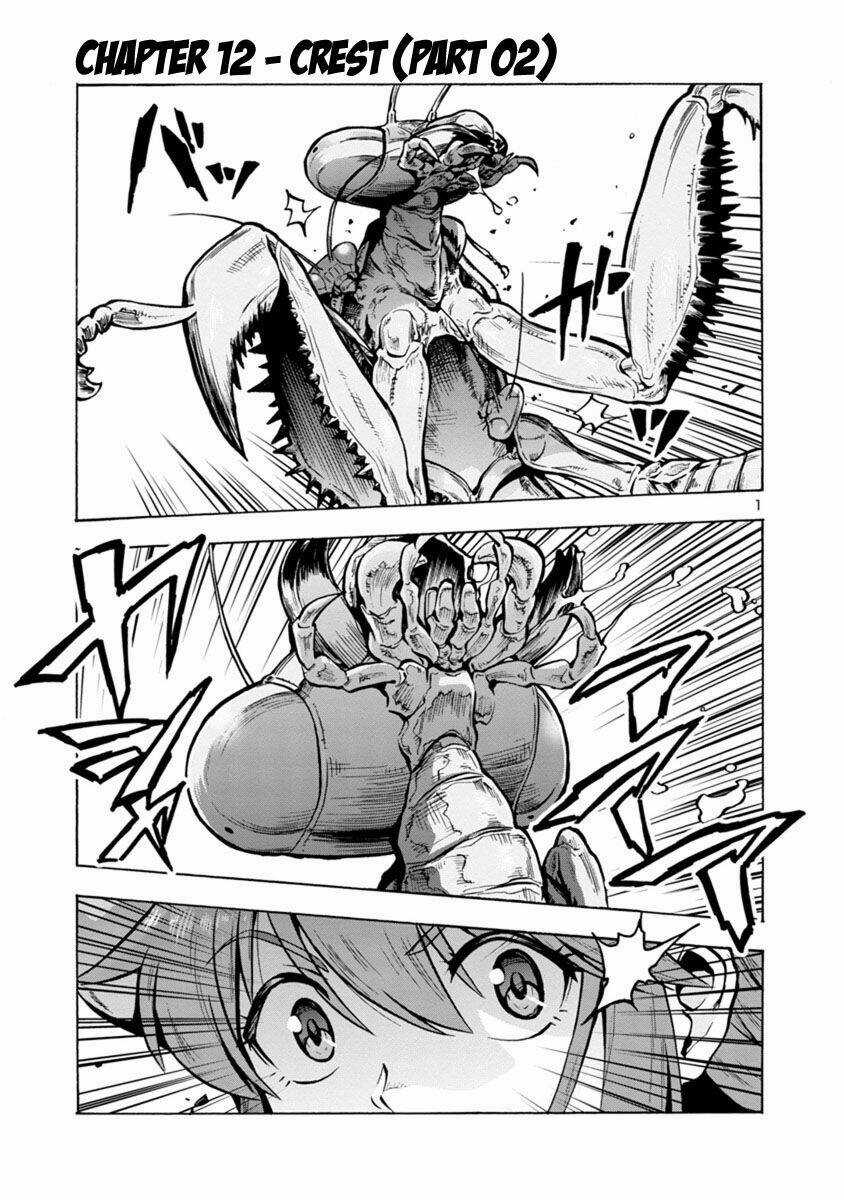 Đảo Côn Trùng Chapter 38.5 trang 38