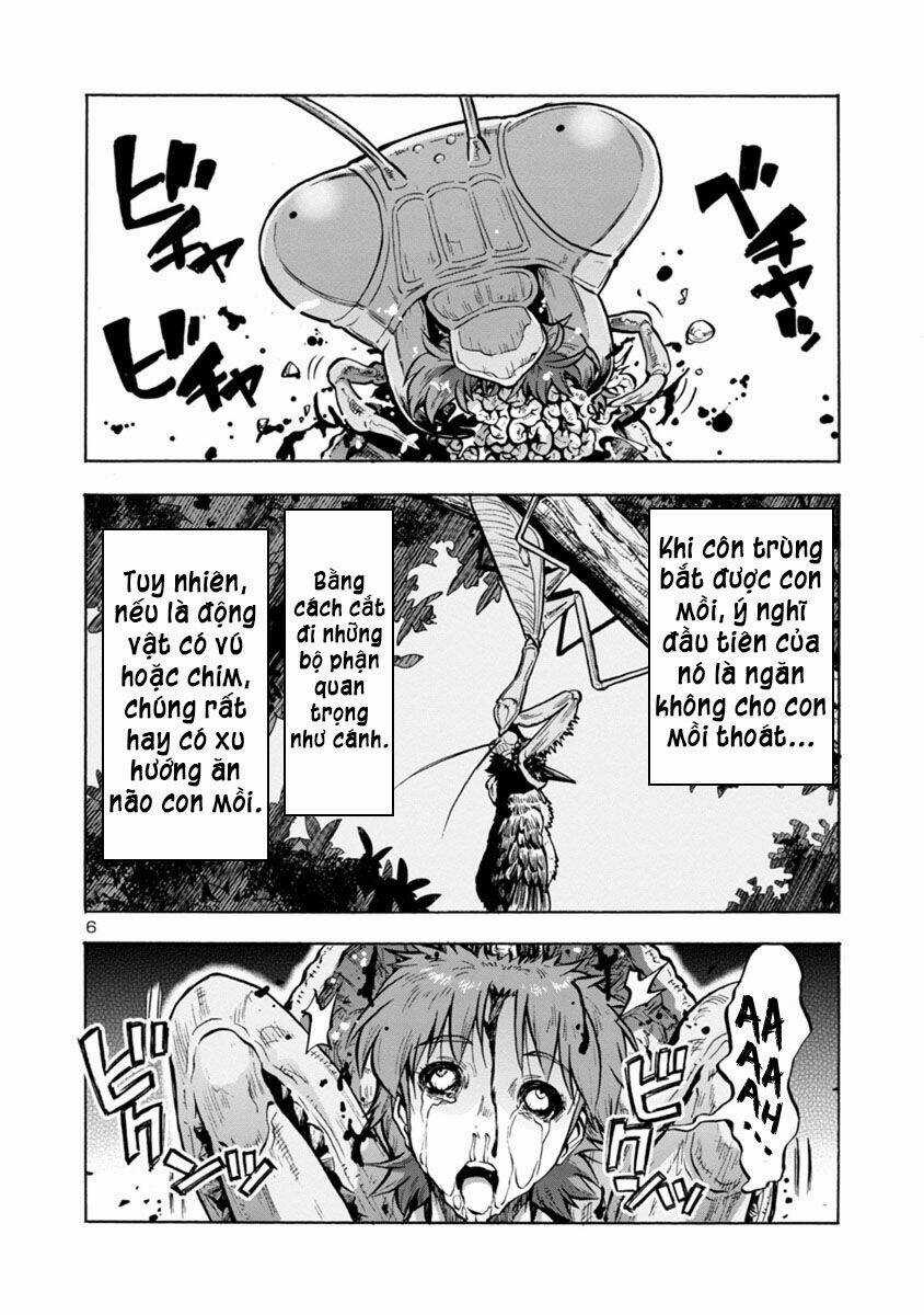 Đảo Côn Trùng Chapter 38.5 trang 91