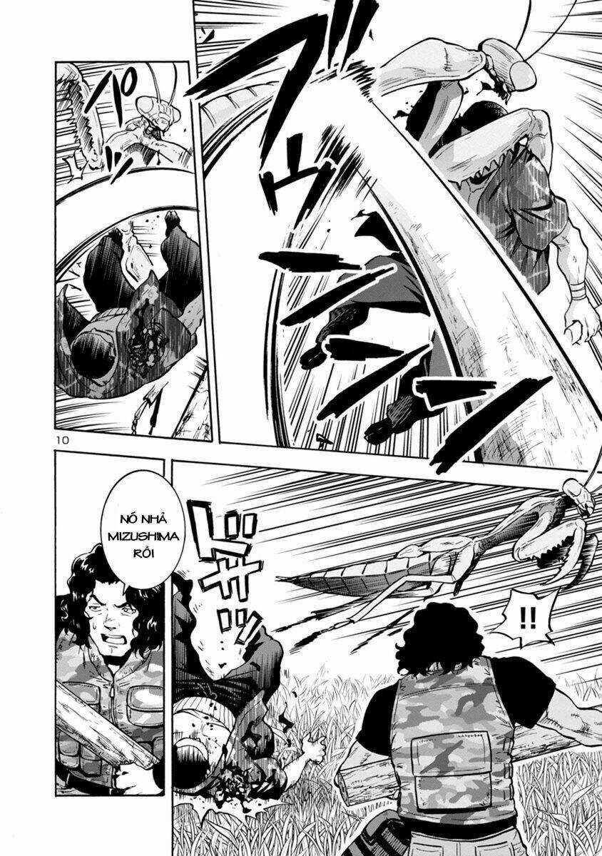 Đảo Côn Trùng Chapter 38 trang 10