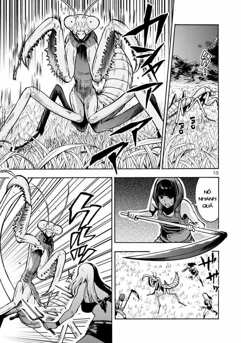 Đảo Côn Trùng Chapter 38 trang 13