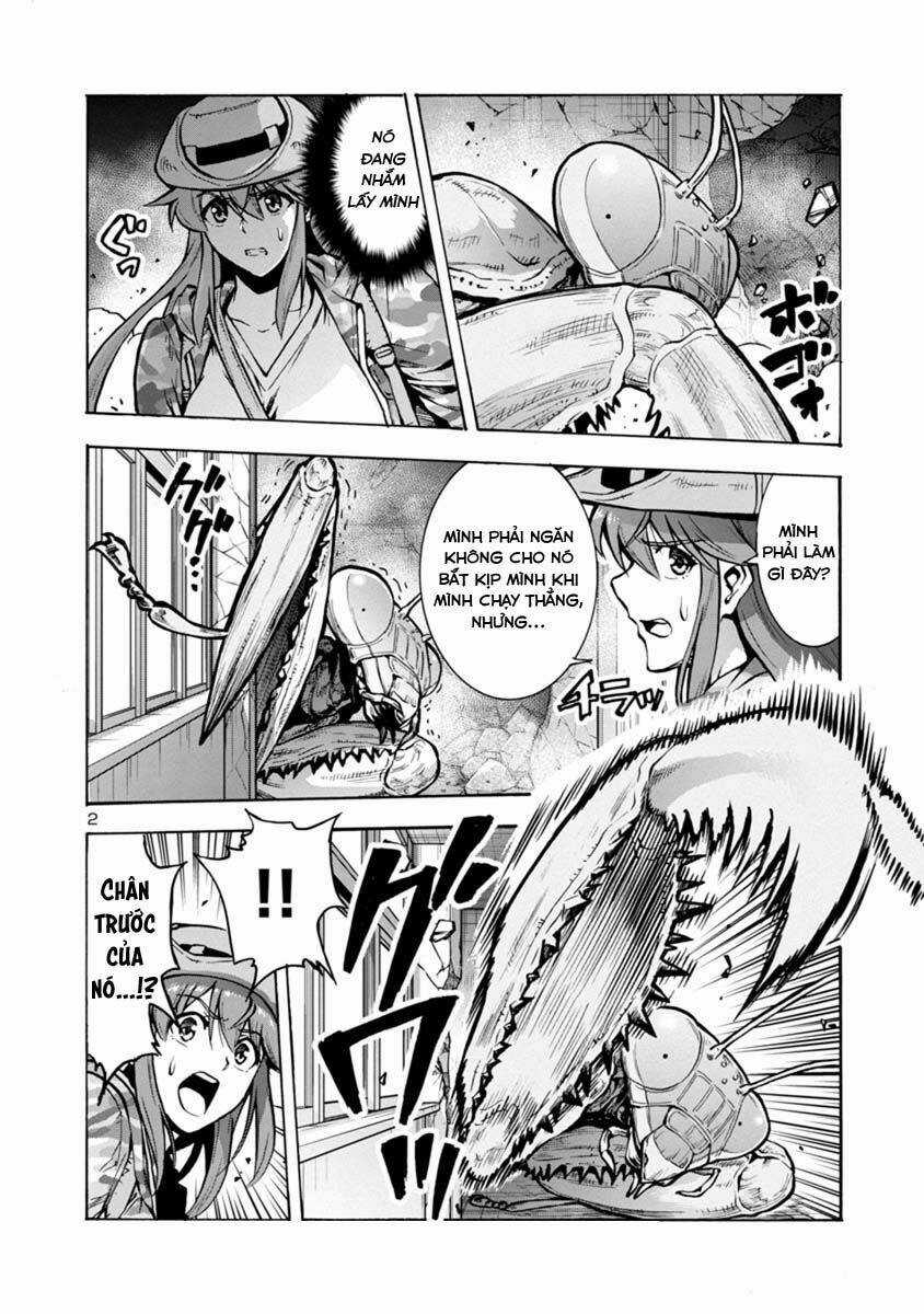 Đảo Côn Trùng Chapter 42 trang 16