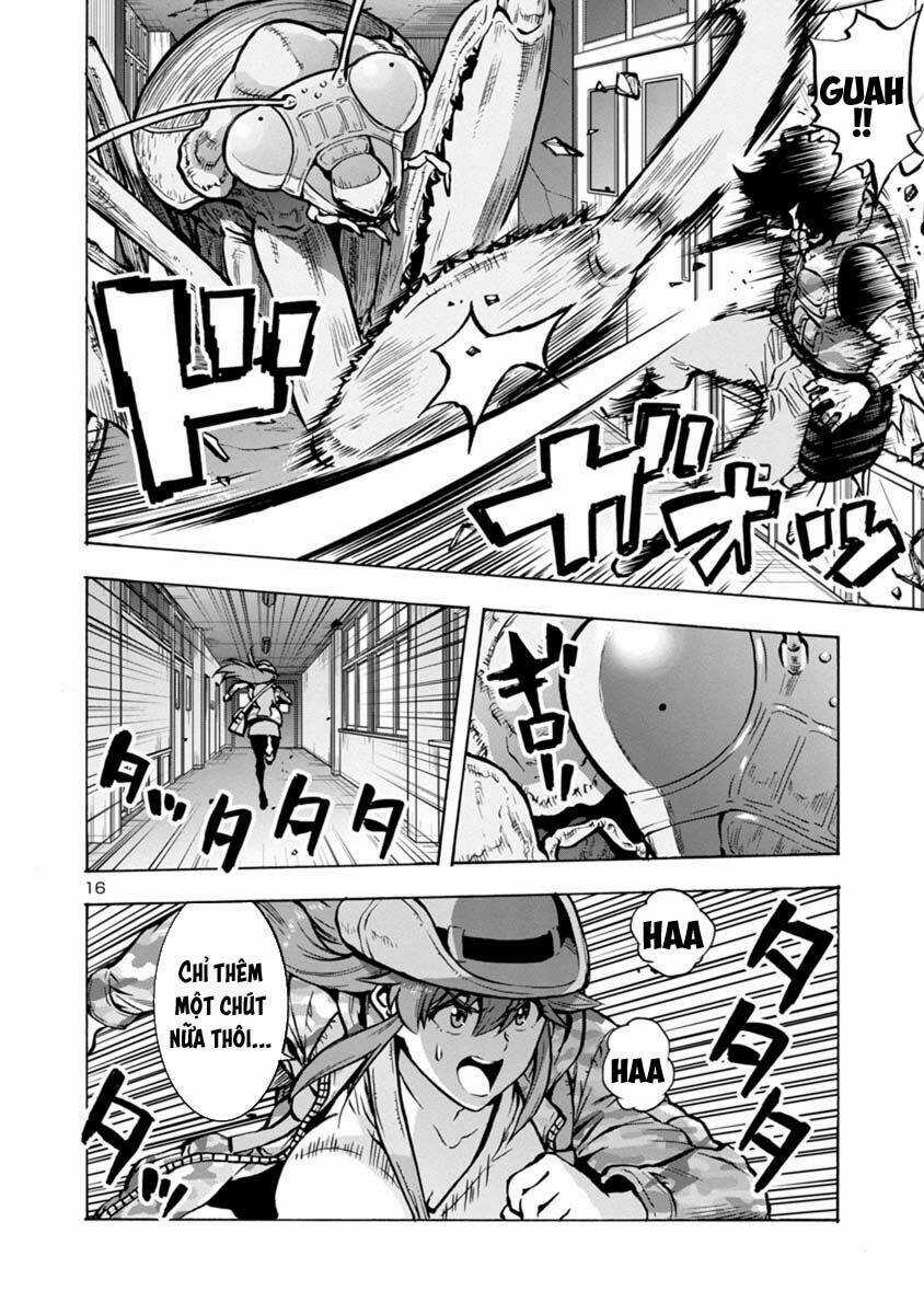 Đảo Côn Trùng Chapter 42 trang 30