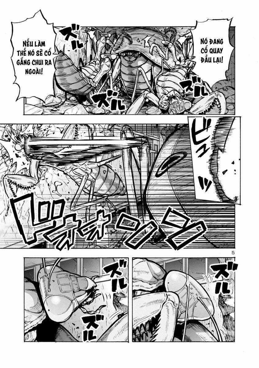 Đảo Côn Trùng Chapter 42 trang 5