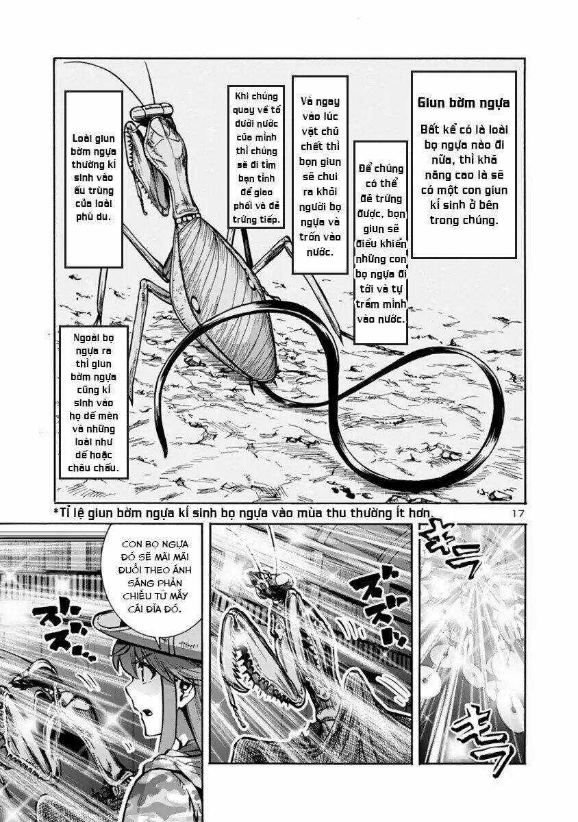 Đảo Côn Trùng Chapter 43 trang 17