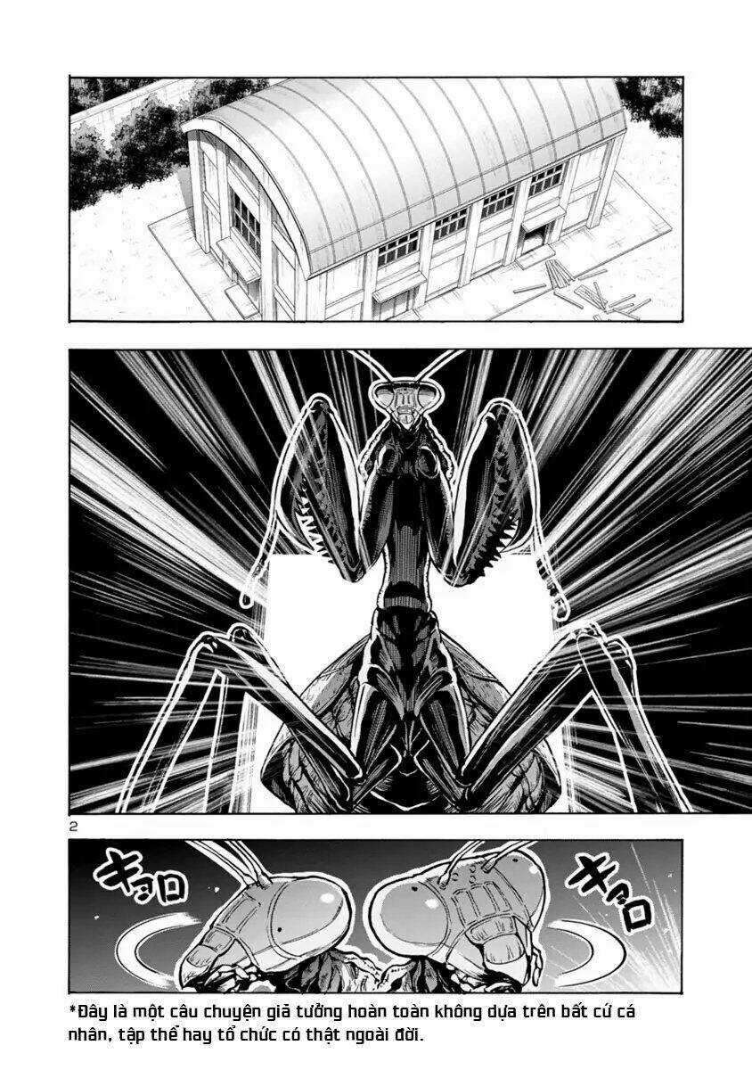 Đảo Côn Trùng Chapter 43 trang 2