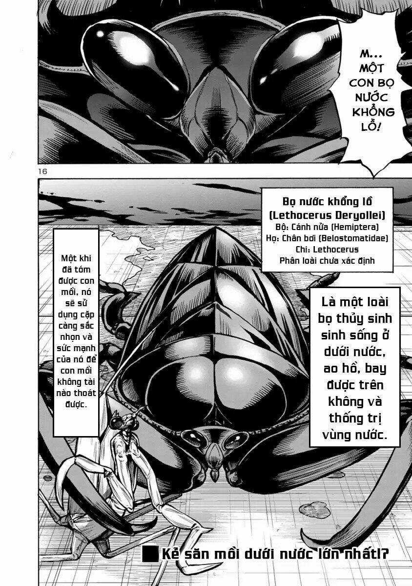 Đảo Côn Trùng Chapter 43 trang 77