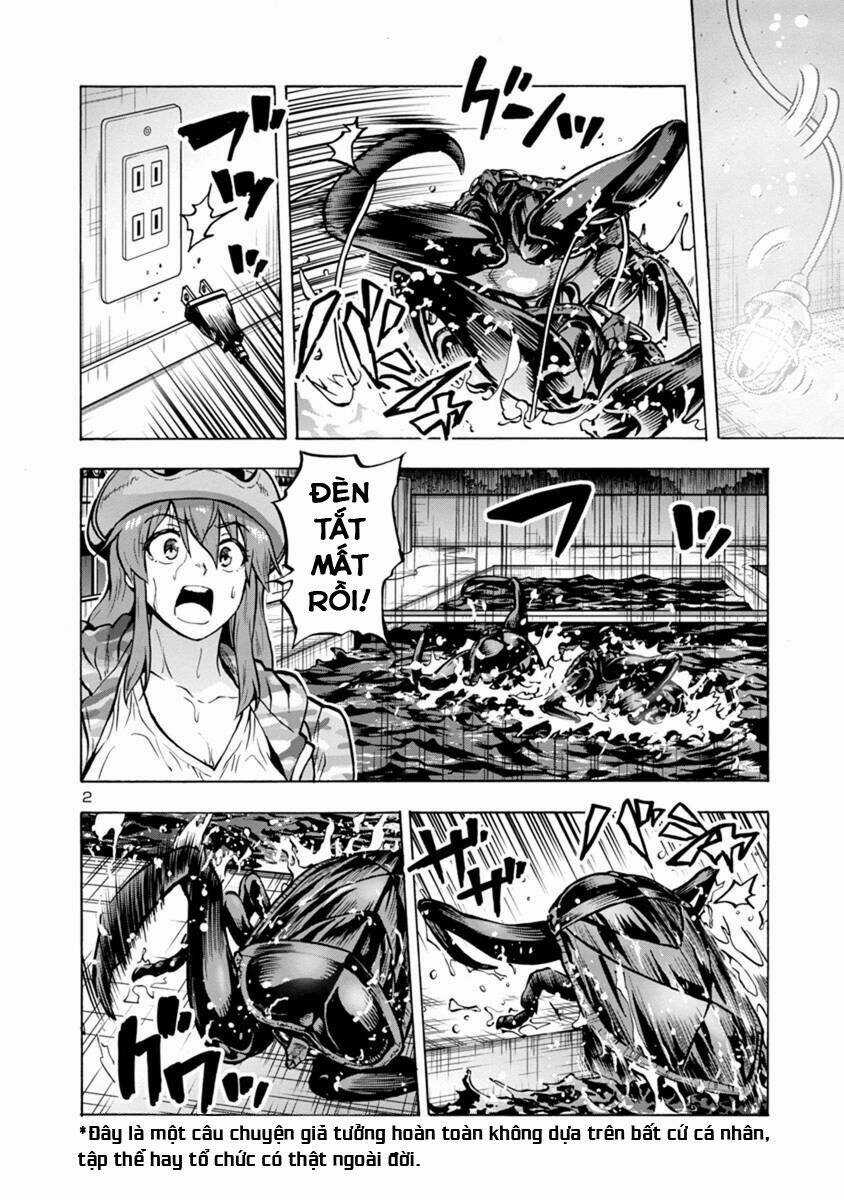 Đảo Côn Trùng Chapter 49 trang 23