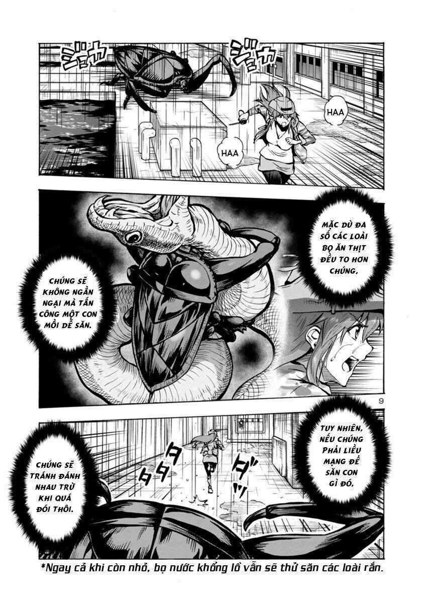 Đảo Côn Trùng Chapter 49 trang 30