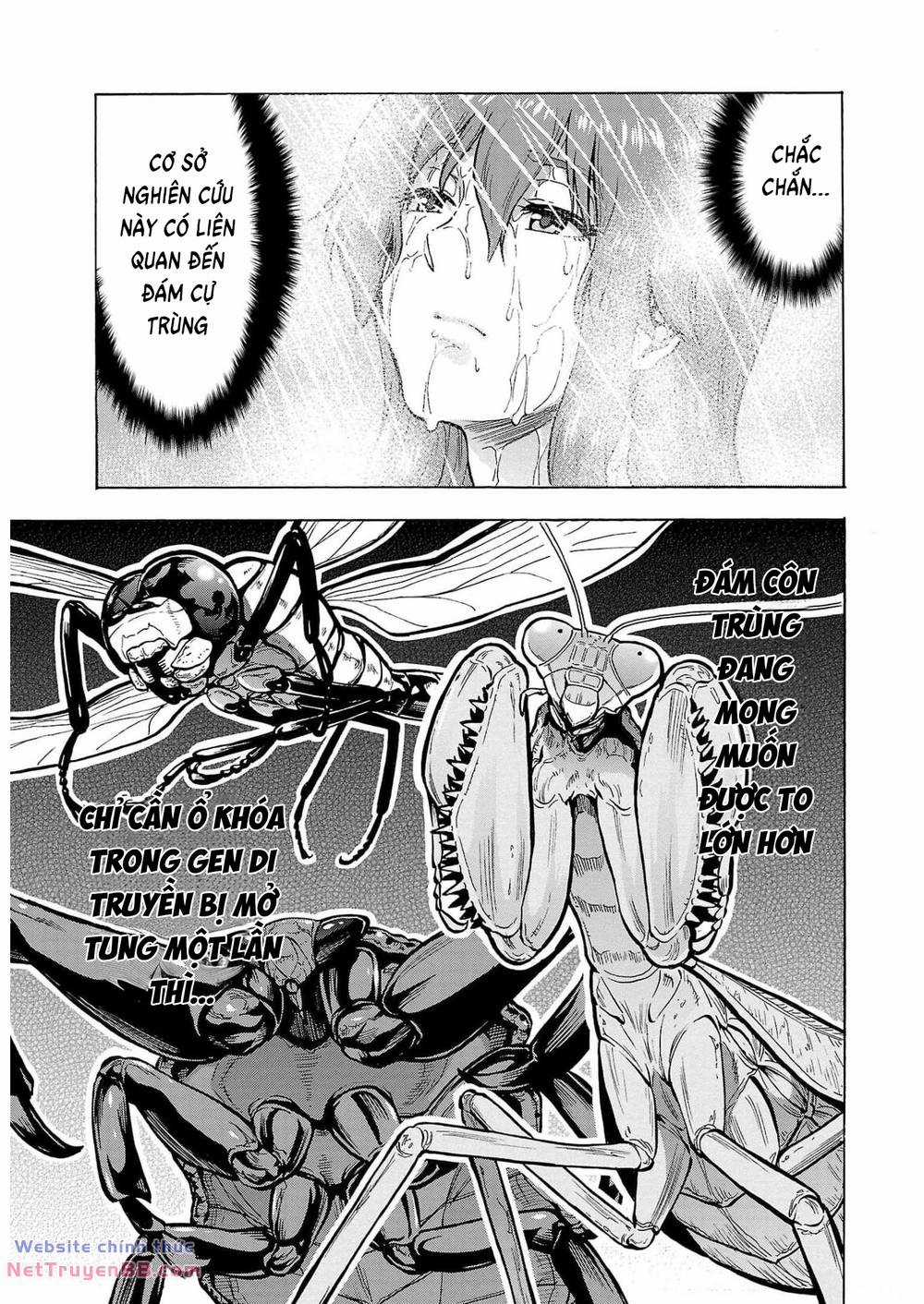 Đảo Côn Trùng Chapter 63 trang 35