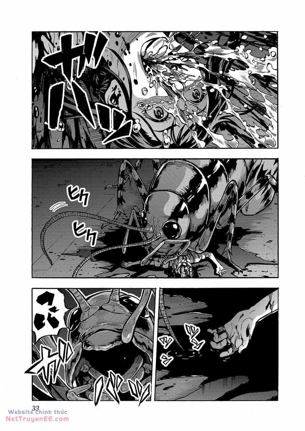 Đảo Côn Trùng Chapter 66 trang 31