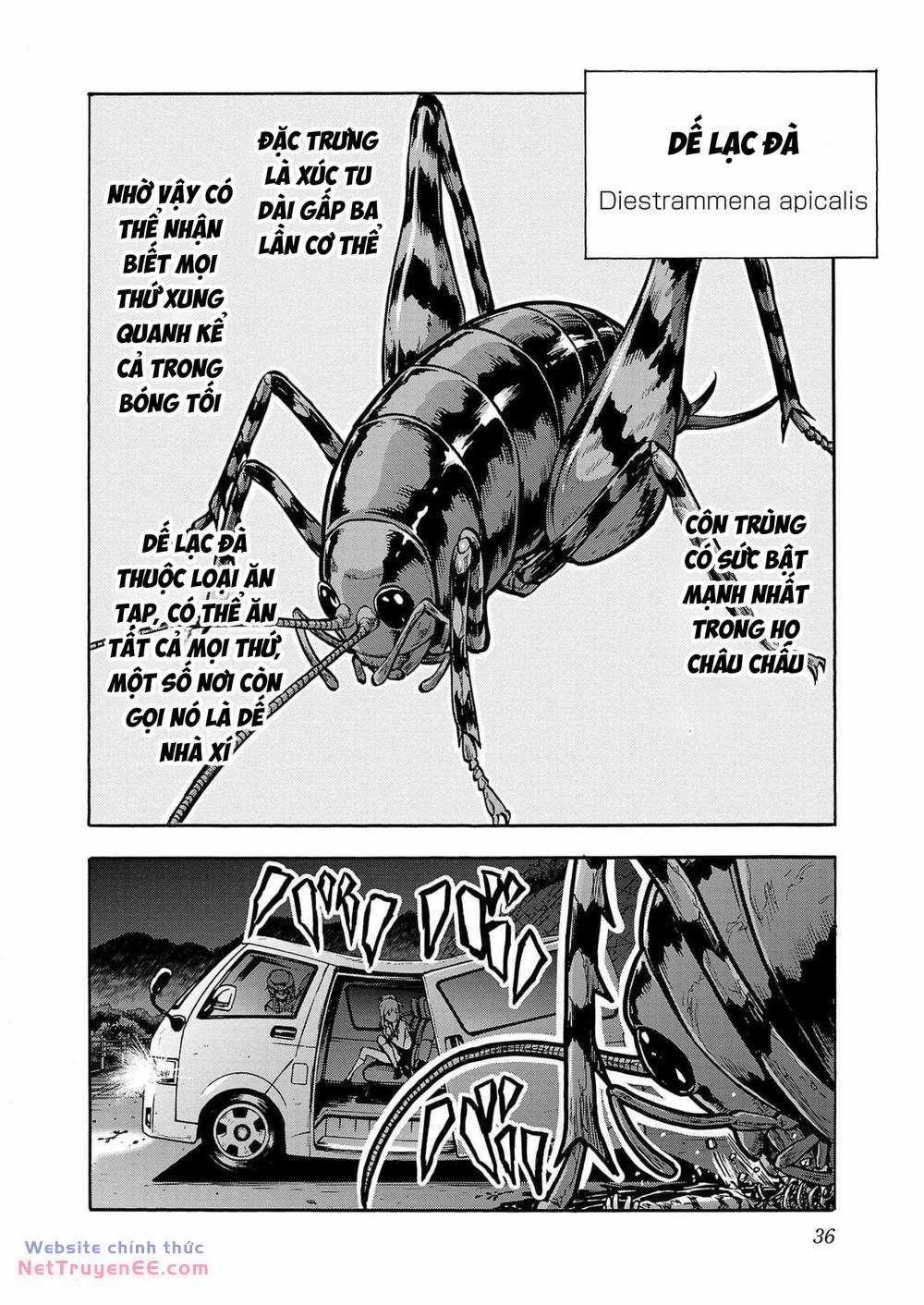 Đảo Côn Trùng Chapter 66 trang 34