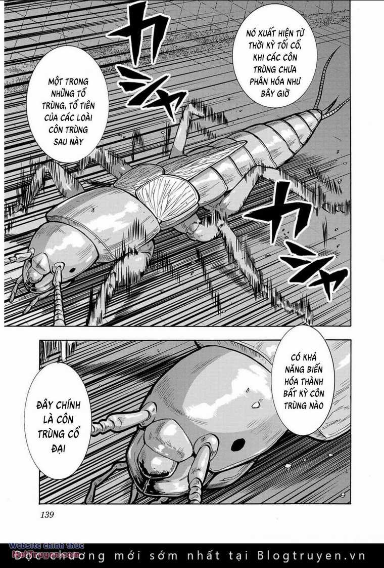Đảo Côn Trùng Chapter 69 trang 23