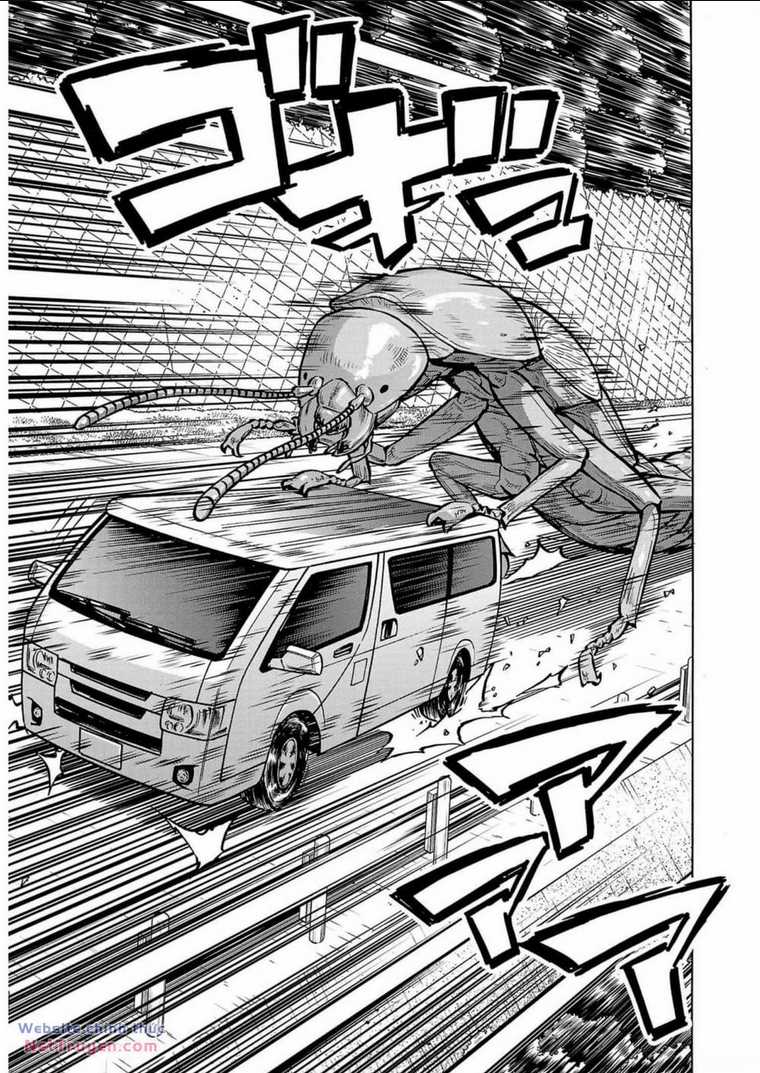 Đảo Côn Trùng Chapter 69 trang 29