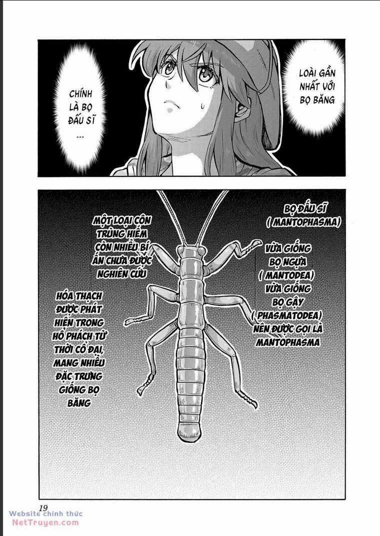 Đảo Côn Trùng Chapter 70 trang 17