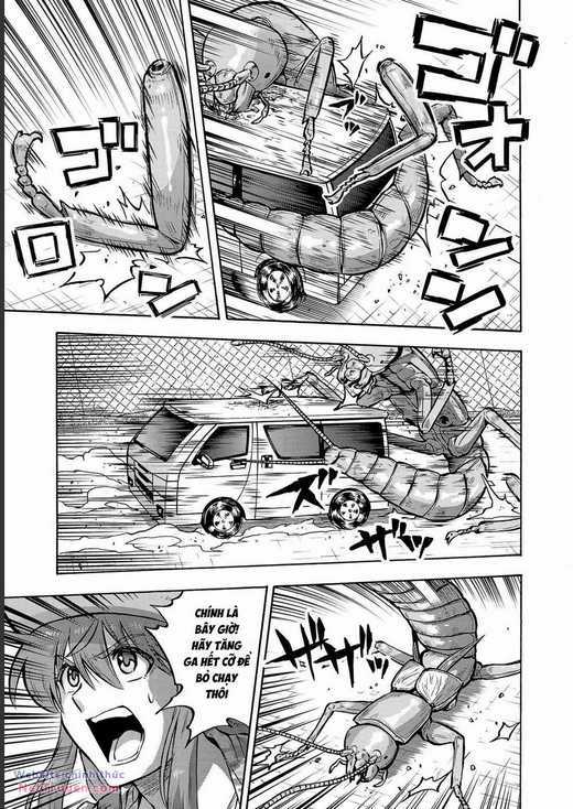 Đảo Côn Trùng Chapter 70 trang 29