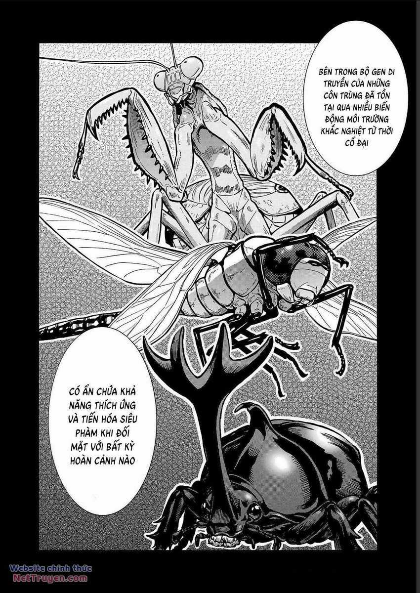 Đảo Côn Trùng Chapter 70 trang 4