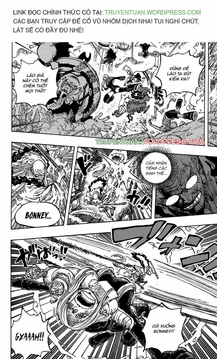 Đảo Hải Tặc Chapter 1115 trang 8