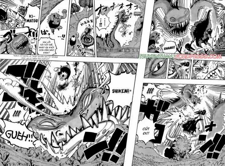 Đảo Hải Tặc Chapter 1142 trang 3