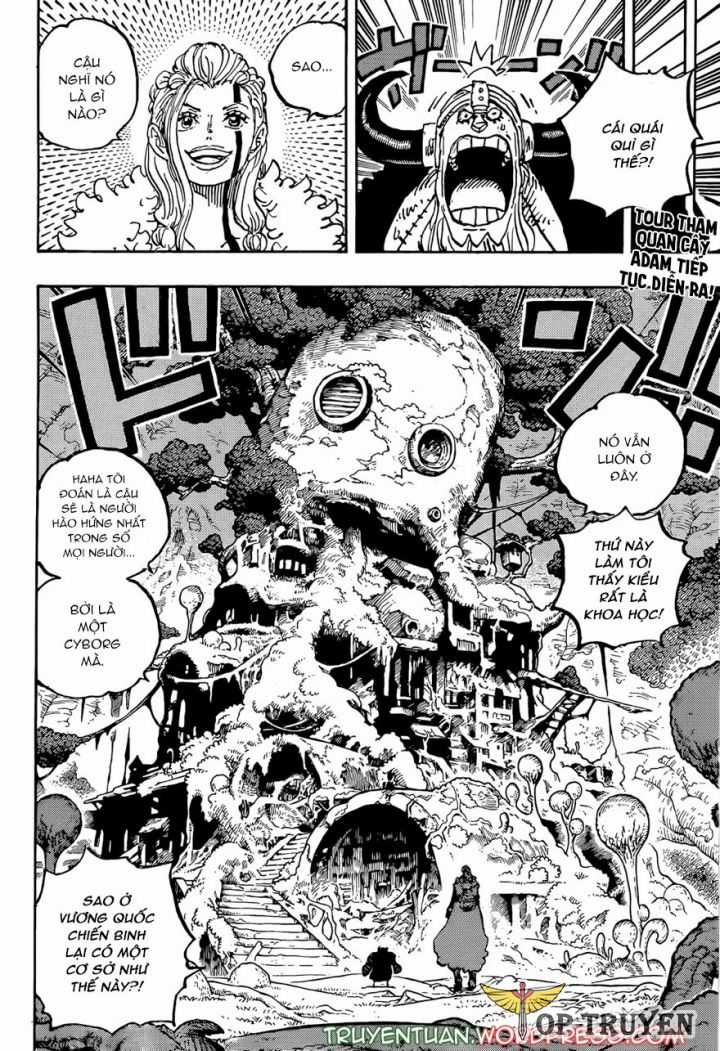 Đảo Hải Tặc Chapter 1144 trang 2