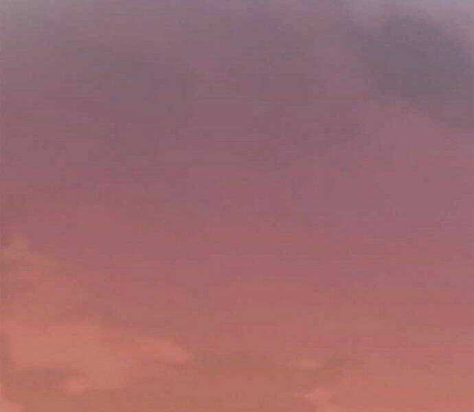 Đào Hoa Nguyên Kí Chi Vũ Trạch Chapter 40 trang 196