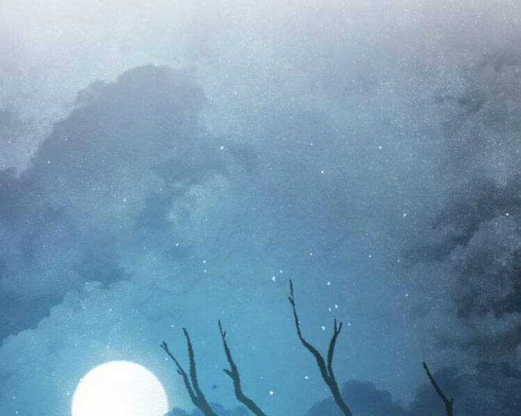 Đao Hoàng Tứ Thiếu Gia Chương 13.5 trang 12