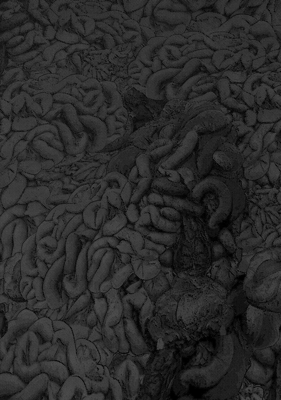 Đảo Kinh Hoàng Chapter 13 trang 26