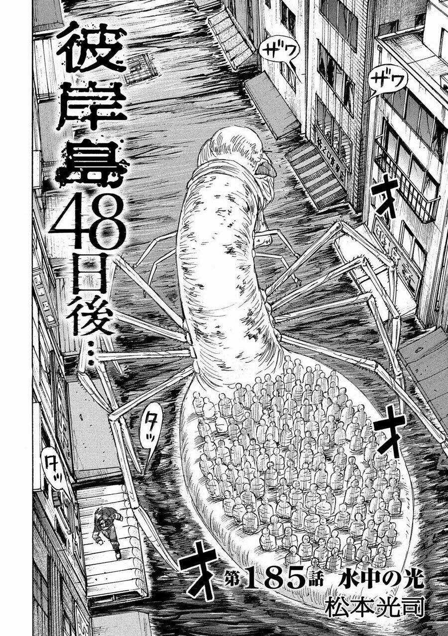 Đảo Ma Cà Rồng 3 Chapter 185 trang 1