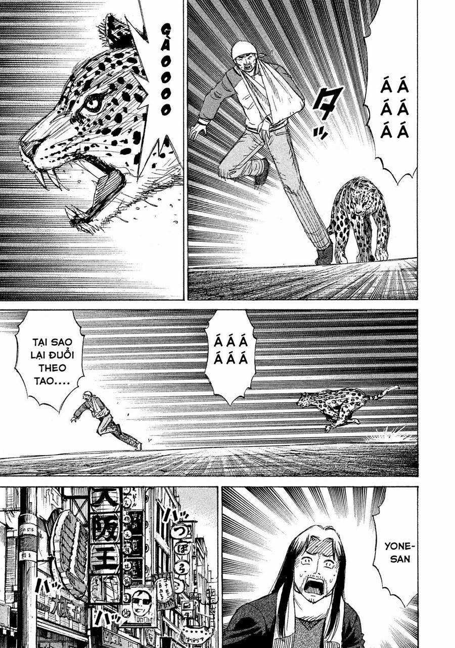 Đảo Ma Cà Rồng 3 Chapter 32 trang 15