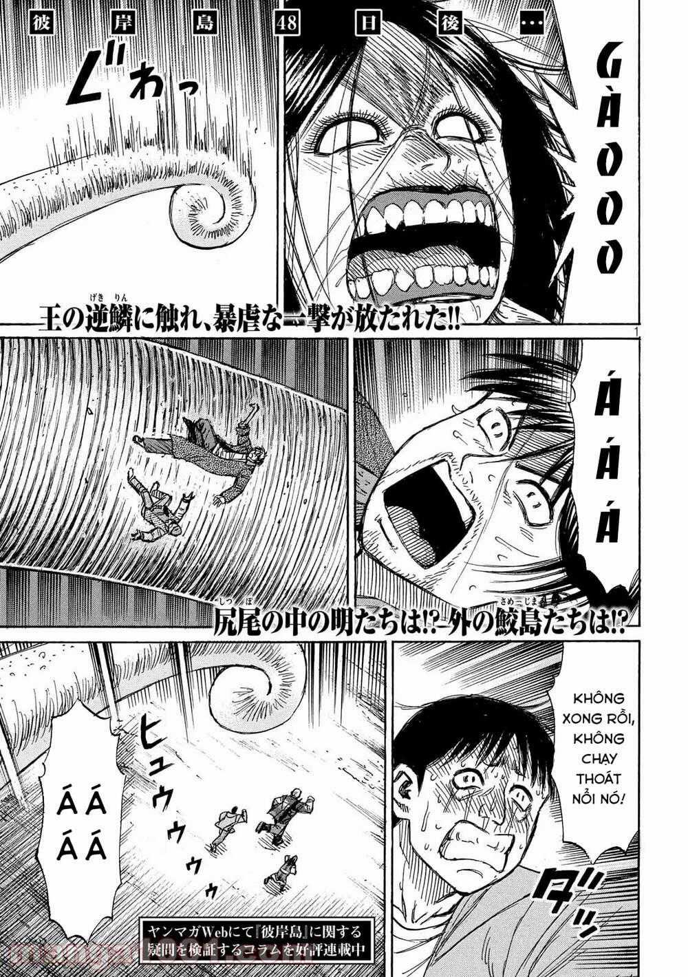Đảo Ma Cà Rồng 3 Chapter 753 trang 0