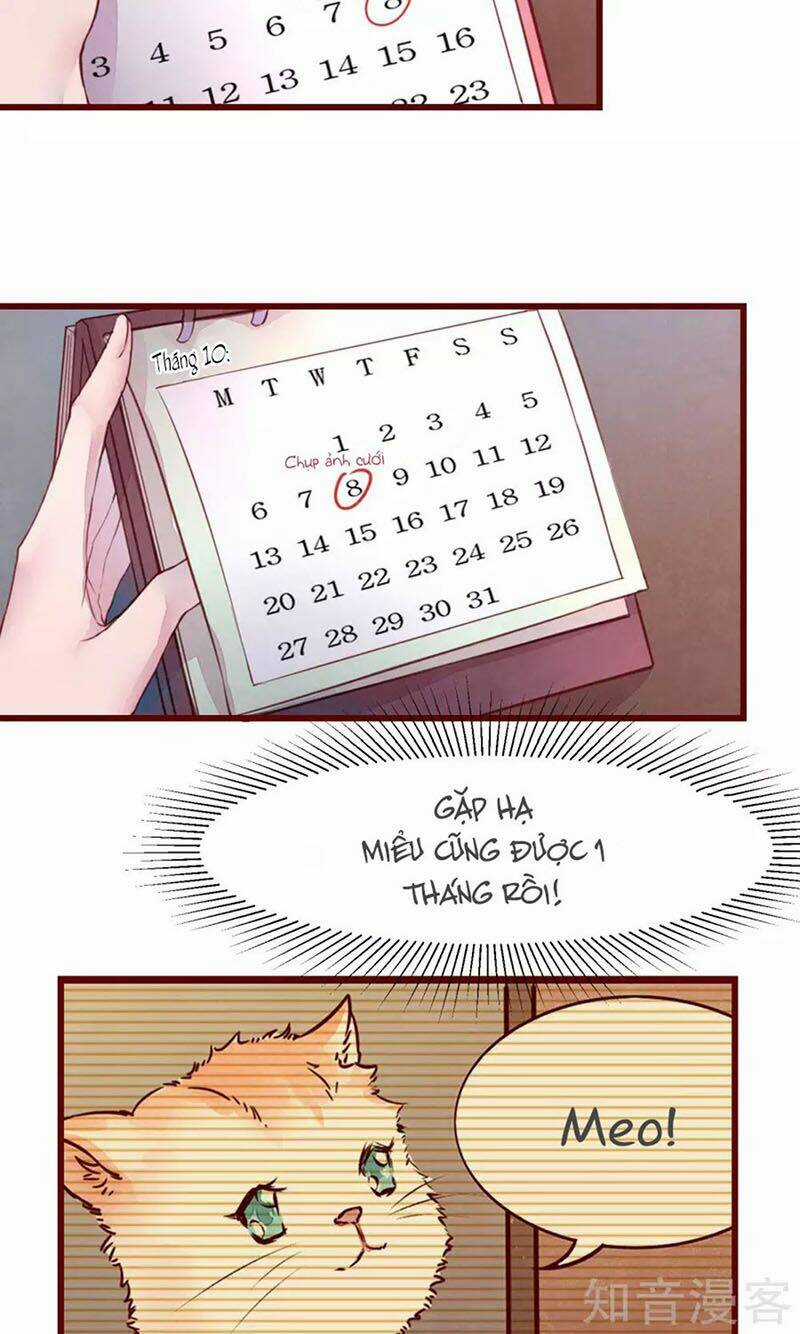 Đào Tạo Nuôi Dưỡng Bạn Trai Mèo Chapter 31 trang 11