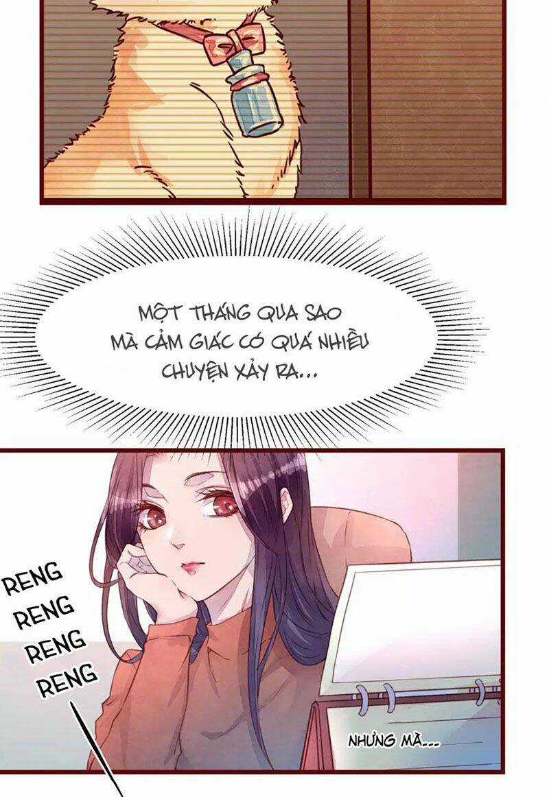 Đào Tạo Nuôi Dưỡng Bạn Trai Mèo Chapter 31 trang 12