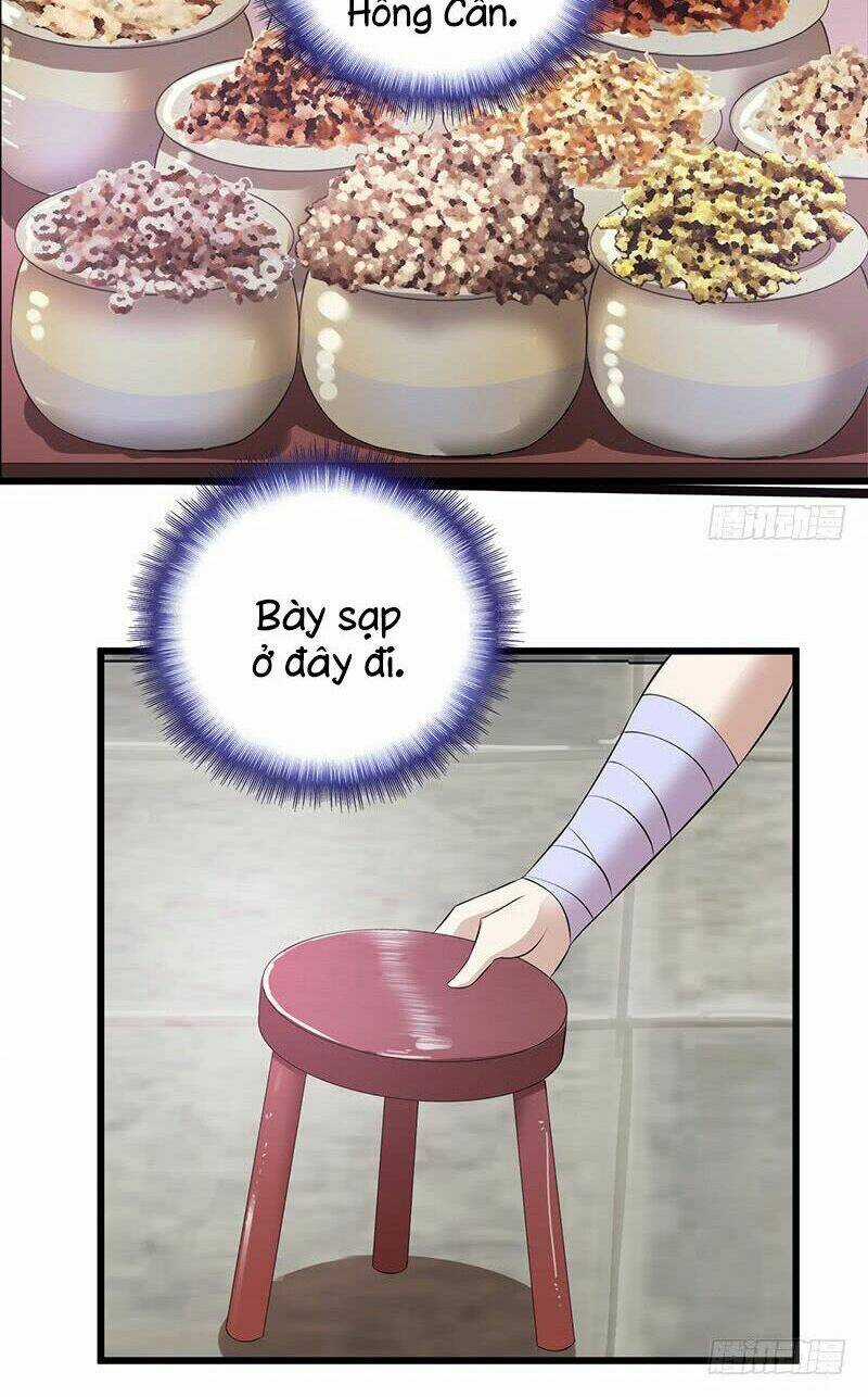 Đào Vận Tiểu Thần Nông Chapter 8 trang 3