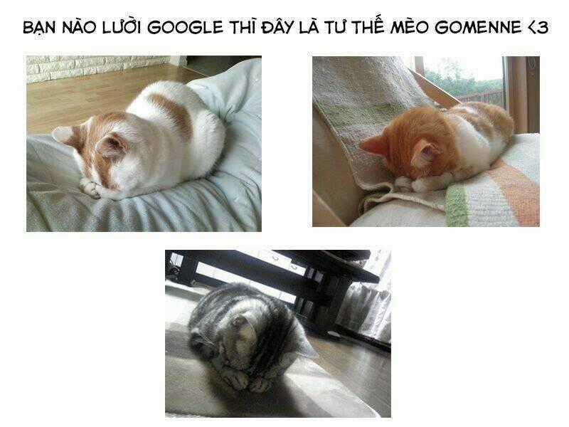 Dare datte Skylark Chapter 1 trang 36